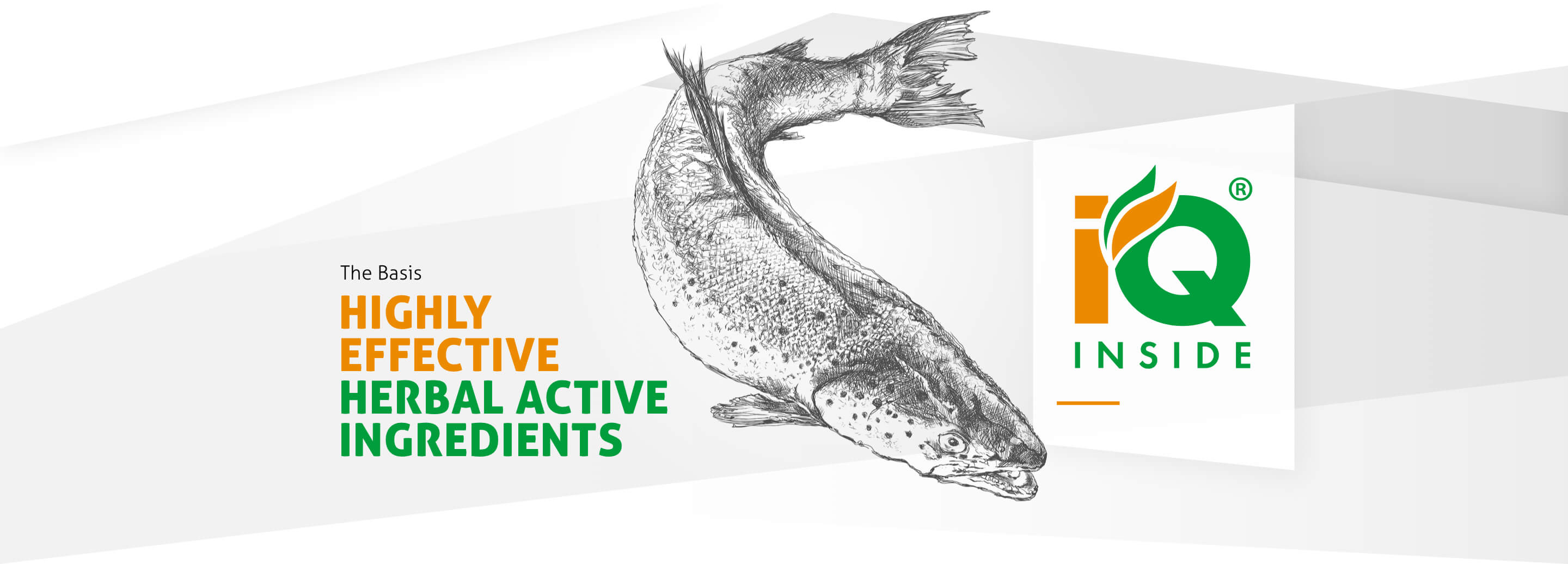Ein schwarz-weiß gezeichneter Fisch. Neben dem Fisch steht der englische Claim “Highly effective herbal actice Ingredients”.