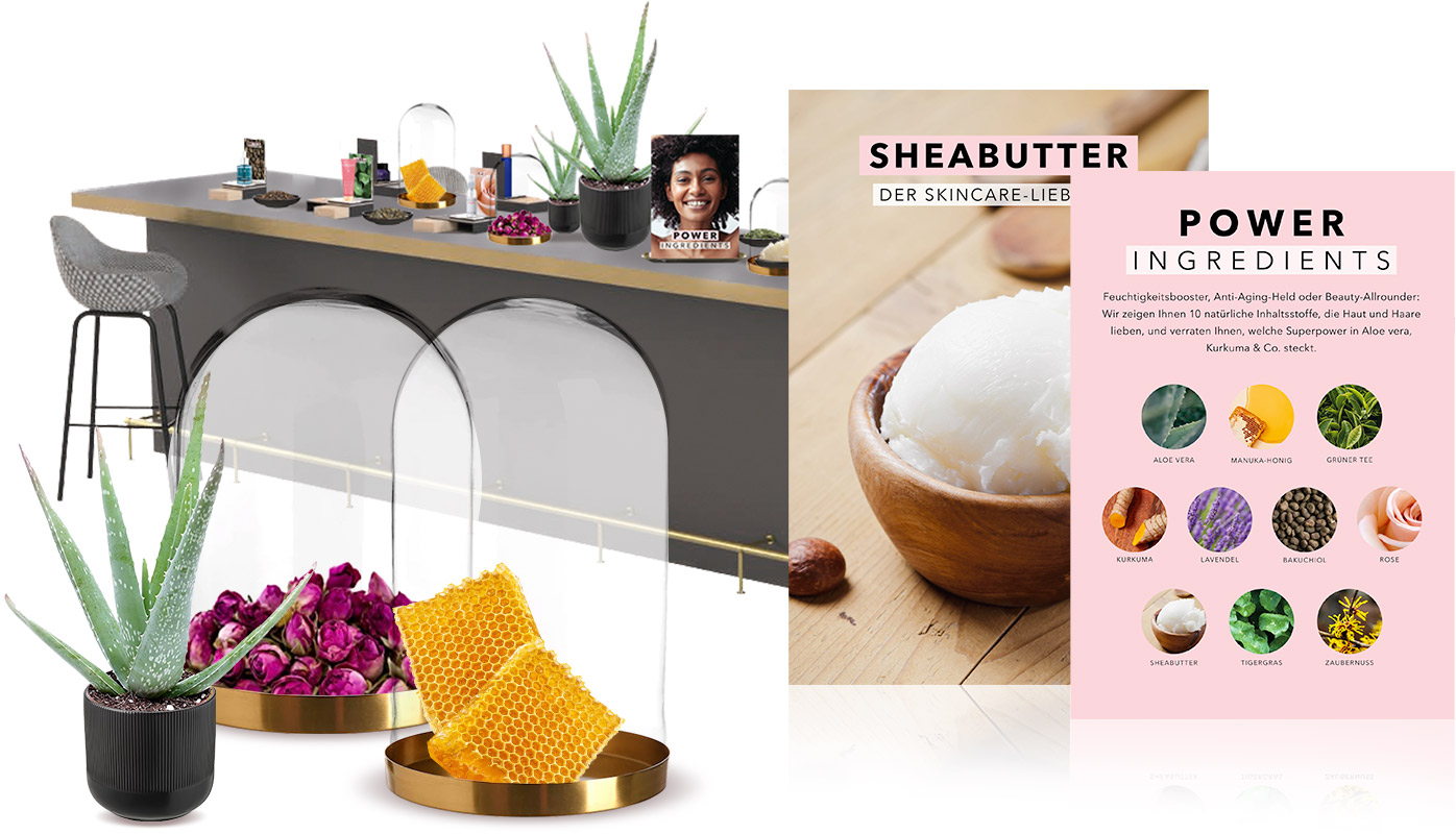 Image composition with a store counter with several products and plants: In addition, two displays designed by d-SIRE on shea butter and power ingredients